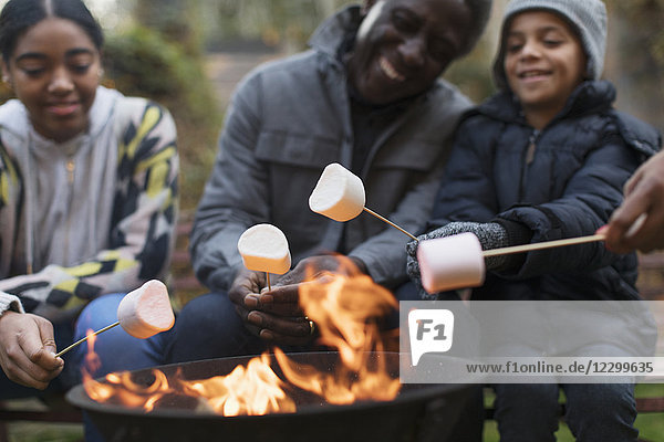 Grandfather and grandchildren roasting marshmallows at campfire