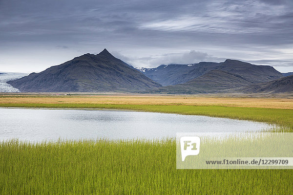 Tranquil,  remote mountain landscape with fresh,  green grass,  Iceland