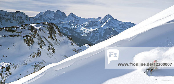 Skifahrer beim Abfahrtslauf in den San Juan Mountains  Ophir  Colorado  USA