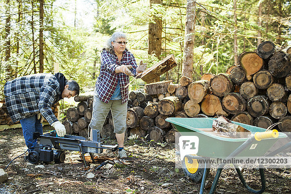Ehepaar spaltet Brennholz mit einem Mann  der eine Holzspaltmaschine benutzt