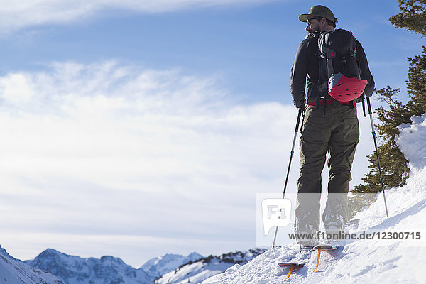 Rear view of back country skier with backpack in San Juan Mountains  Ophir  Colorado  USA