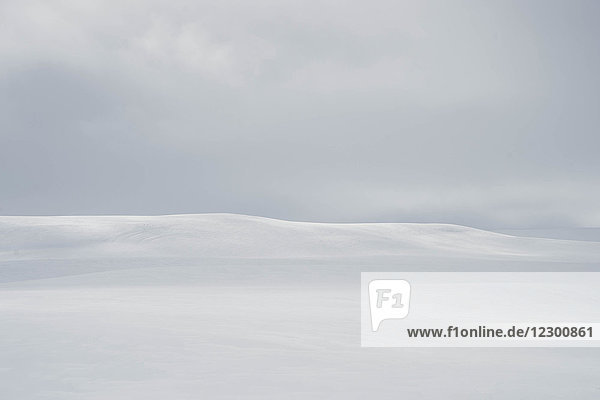 Blick auf die Tundra in den isländischen Westfjorden im Winter