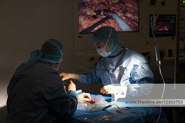 Reportage über eine Nierentransplantation in der urologischen Abteilung des Krankenhauses von Nizza  Frankreich. Die Niere wird einem lebenden verwandten Spender  der Frau des Empfängers  entnommen. Analyse und Vorbereitung des gerade entnommenen Spenderorgans.