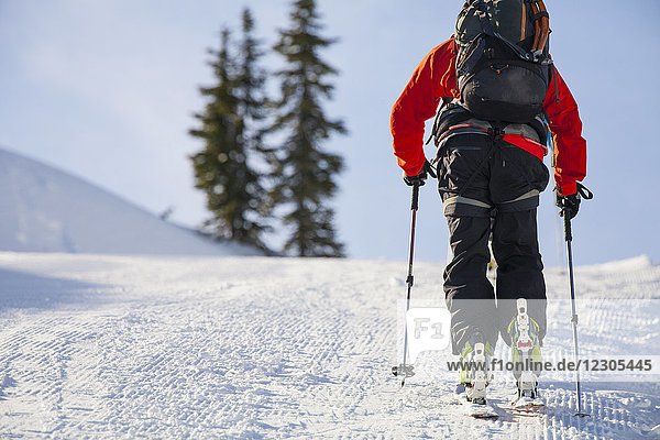 Rear view of man cross-country skiing in North Cascades National Park  Washington State  USA