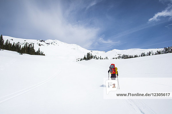 Rückansicht eines einsamen Mannes beim Skilanglauf zum Berg Shasta  Kalifornien  USA