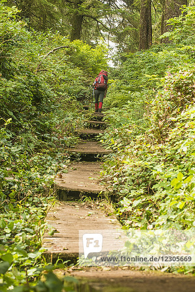 Rückansicht einer alleinstehenden Rucksacktouristin  die auf dem West Coast Trail im Pacific Rim National Park auf Vancouver Island  British Columbia  Kanada  entlang der Uferpromenade durch den Wald wandert