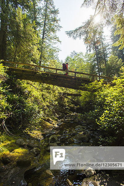 Eine mittelgroße Frau wandert über eine Holzbrücke entlang des West Coast Trail im Pacific Rim National Park auf Vancouver Island  British Columbia  Kanada  während die Sonne den grünen Wald beleuchtet.