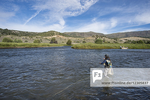 Female angler fishing in Colorado River during sunny weather  Colorado  USA