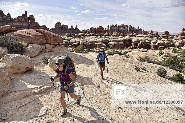 Two female hikers crossing Canyonlands National Park leaving Needles rock formation in distant background  Moab  Utah  USA
