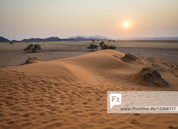 Afrika  Namibia  Namibwüste  Naukluft Nationalpark  Sossusvlei  Elim-Düne bei Sonnenaufgang