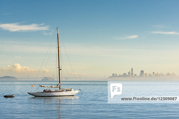 USA  Kalifornien  San Francisco  Segelboot und Skyline