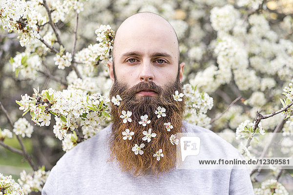 Porträt des Hipsters mit weißen Baumblüten im Bart