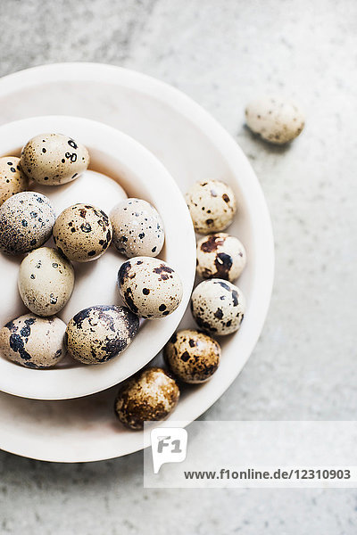 Weiße und gesprenkelte Eier in Schalen  Draufsicht