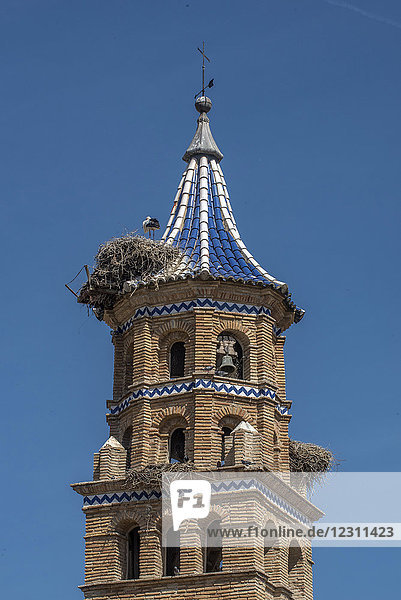 Spanien  Autonome Gemeinschaft Aragonien  Storchennester auf dem Glockenturm der Kirche San Anton in Tauste