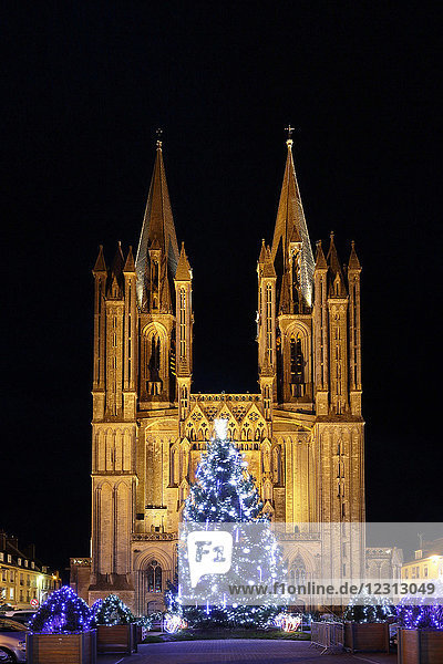 Normandie. Manche. Coutances. Die nächtliche Kathedrale während der Weihnachtszeit. Weihnachtsbaum im Vordergrund.