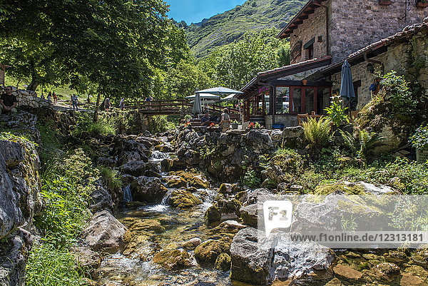 Spanien  Nationalpark Picos de Europa  Bulnes-Gebirge  Fluss Bulnes und Häuser des Dorfes Bulnes