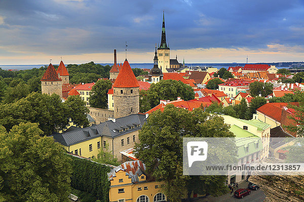 Europe  Estonia  Tallinn. Church