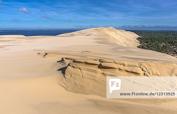 France  Arcachon Bay  natural sand sculptures on the dune de Pilat