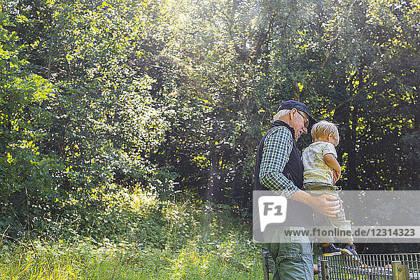 Man holding grandson (2-3)