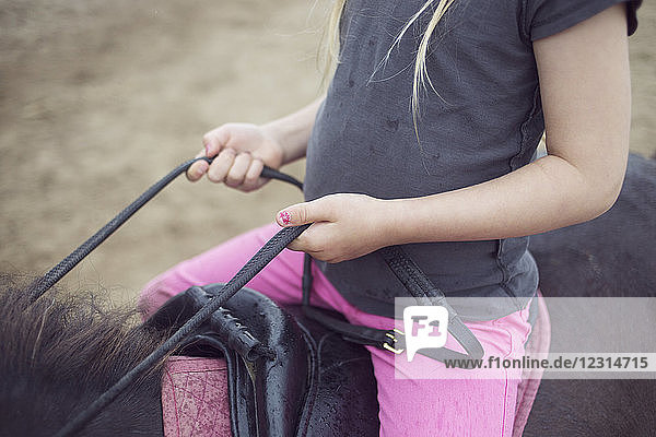 Close-up of girl (4-5) sitting on pony