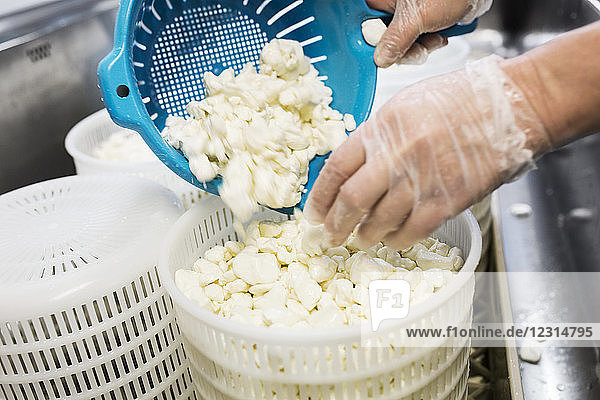 Nahaufnahme einer Frau  die Hüttenkäse in einer Großküche zubereitet