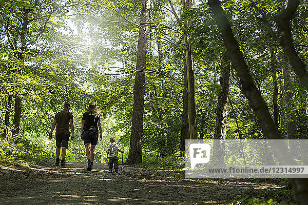Son (2-3) with parents walking in forest