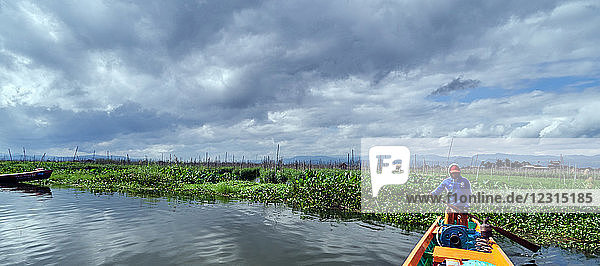 Asie Myanmar Shan-Staaten Inle-See Burma ; Südostasien ; Die Bauern bauen Pflanzen auf der Oberfläche des Sees an  sie sammeln das Unkraut am Seeboden aus den tieferen Teilen des Sees  bringen es in Booten zurück und machen daraus schwimmende Beete in ihren Gärten  die mit Bambusstangen verankert sind. Diese Gärten heben und senken sich mit den Veränderungen des Wasserspiegels und sind daher überflutungssicher.