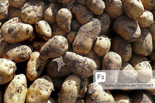 Gemüse  Kartoffeln