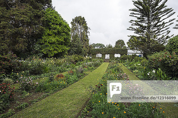 Rwanda Imbibazi Rosamond Carr house and museum