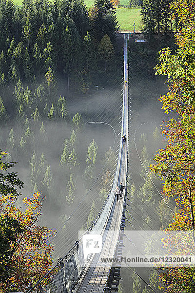 Swing Bridge Geierlay  Moersdorf  Hunsrueck  Rhineland-Palatinate  Germany  Europe