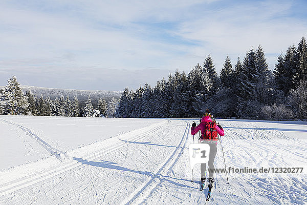 Skilanglaufgebiet  Liberec  Tschechische Republik  Europa