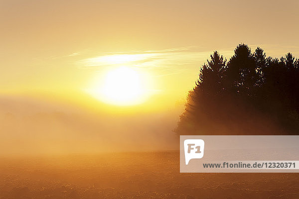 Landschaft mit Frühnebel bei Sonnenaufgang im Herbst  Hunsruck  Rheinland-Pfalz  Deutschland  Europa