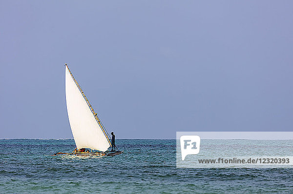 Dhow-Segelboot  Paje  Insel Sansibar  Tansania  Ostafrika  Afrika