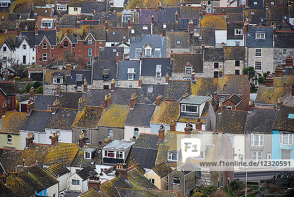 Häuser auf der Isle of Portland  Dorset  England  Vereinigtes Königreich  Europa