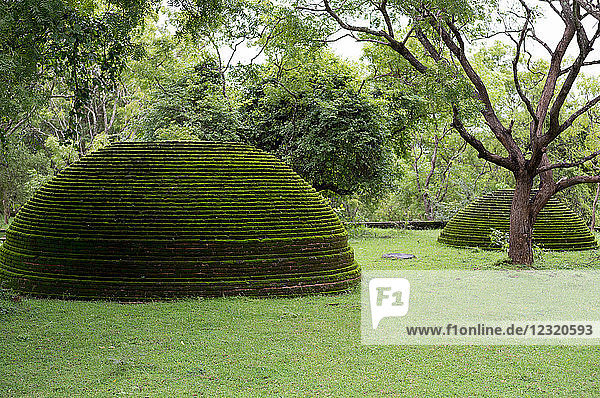 A moss covered dagoba dome in the Kiri Vihara temple ruins at Polonnaruwa  UNESCO World Heritage Site  Sri Lanka  Asia