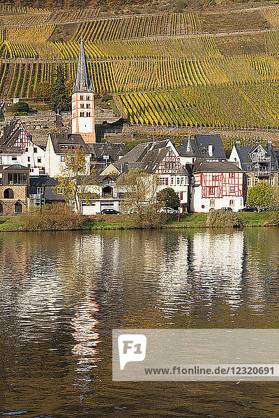 View of Merl district  Moselle Valley  Zell an der Mosel  Rhineland-Palatinate  Germany  Europe
