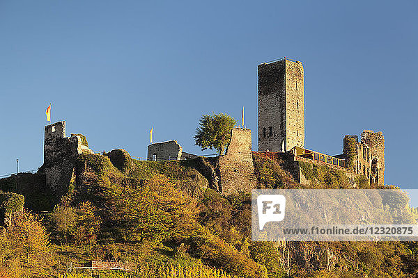 Metternich Castle Ruins  Beilstein  Rhineland-Palatinate  Germany  Europe