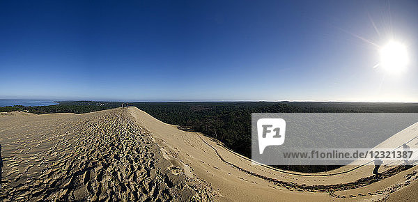 Pilat Dune in Test-de-Buch  at 110 m high  the highest sand dune in Europe  Nouvelle Aquitaine  France  Europe