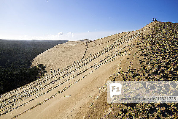 Pilat Dune in Test-de-Buch  at 110 m high  the highest sand dune in Europe  Nouvelle Aquitaine  France  Europe