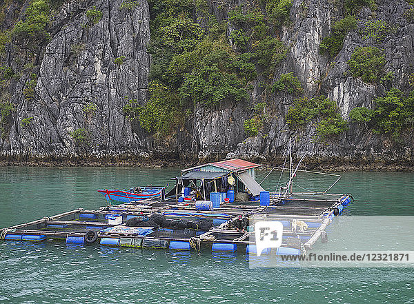 Schwimmendes Fischerdorf in der Lan Ha-Bucht auf der Insel Cat Ba  einer typischen Karstlandschaft in Vietnam  Indochina  Südostasien  Asien