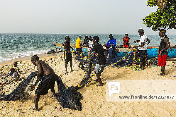 Einheimische Fischer ziehen ihre Netze an einem Strand in Robertsport  Liberia  Westafrika  Afrika