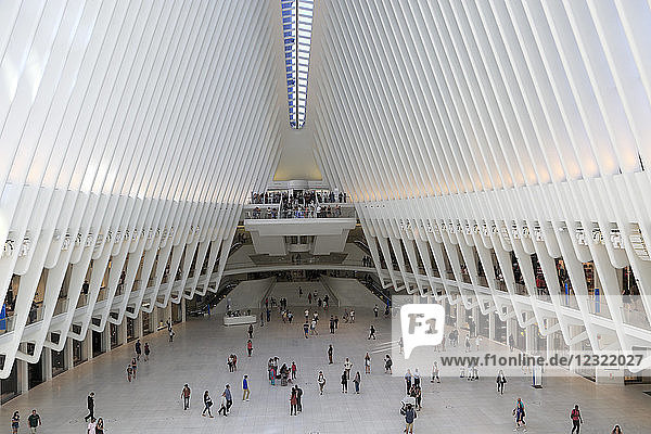 Oculus  Architekt Santiago Calatrava  World Trade Center Transportation Hub  Financial District  Manhattan  New York City  Vereinigte Staaten von Amerika  Nordamerika