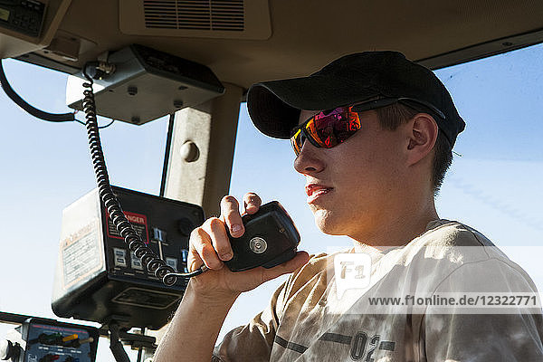 Young farmer on tractor radio  soybean harvest scene  near Nerstrand; Minnesota  United States of America