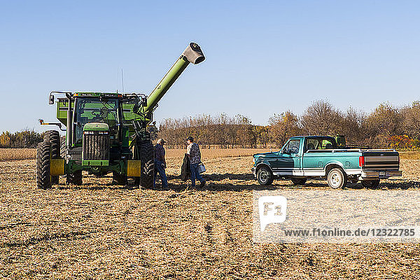 Großvater tauscht mit Enkel das Fahren eines Getreidewagens während der Sojabohnenernte aus  in der Nähe von Nerstrand; Minnesota  Vereinigte Staaten von Amerika