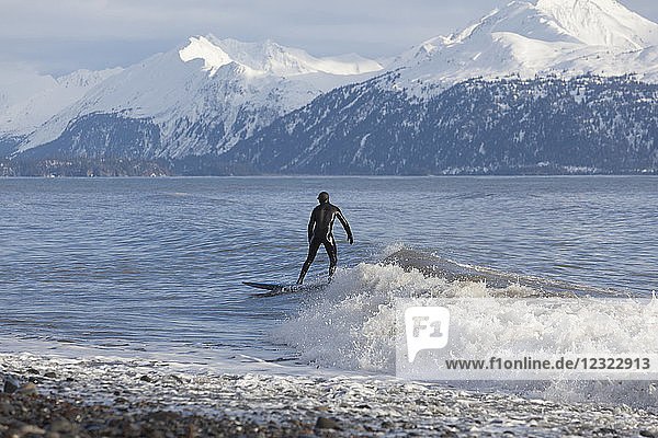 Surfer in Kachemak Bay South-central Alaska; Homer Alaska United States of America