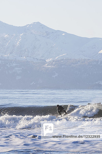 Surfer in Kachemak Bay  South-central Alaska; Homer Spit  Alaska  United States of America
