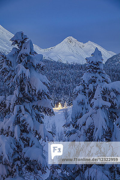 Eine entfernte Schwarzfichte (Picea Mariana) leuchtet von den Lichtern um sie herum  frischer Schnee bedeckt sie und die umliegenden Bäume und Berge  tiefblaue Dämmerung erfüllt die Szene  Moose Pass  Kenai Halbinsel  Süd-Zentral-Alaska; Alaska  Vereinigte Staaten von Amerika