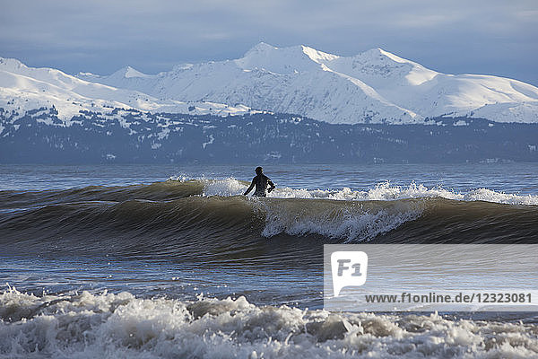 Surfer beim Wellenreiten in der Kachemak Bay  Süd-Zentral-Alaska; Homer  Alaska  Vereinigte Staaten von Amerika