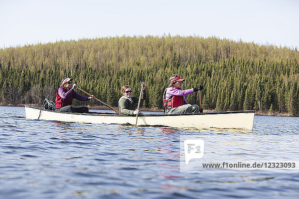 Women canoeing in the Swanson Lake area  Kenai Peninsula  South-central Alaska; Alaska  United States of America