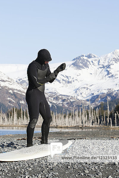 Surfer gearing up to go surfing on the Kenai Peninsula Outer Coast  South-central Alaska; Alaska  United States of America